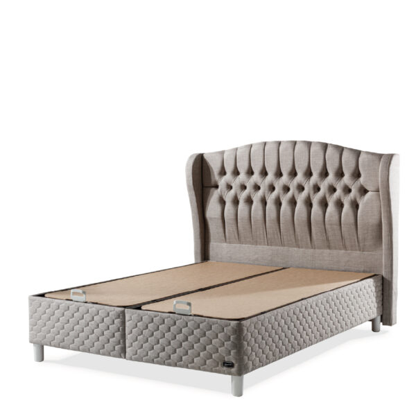 Star - Titanyum Baza